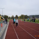 biegip 3